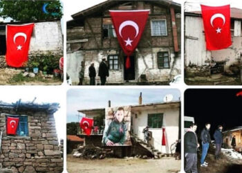 PKK terör örgütüdür, Apo bebek katilidir!