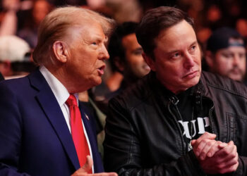 Pirinçteki beyaz taşlar