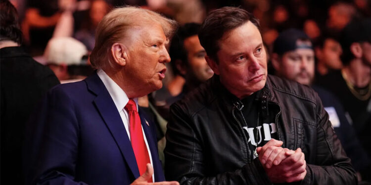 Pirinçteki beyaz taşlar