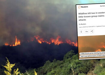 Orman yangınlarını PKK üstlendi, AKP kabul etmedi