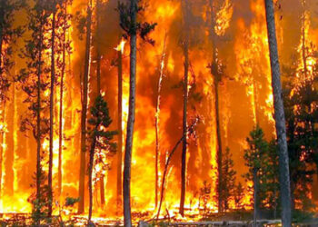 Türkiye’nin başına gelen en büyük felaket AKP’dir!