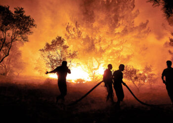 Orman yangınları, ülke yıkımını imliyor…