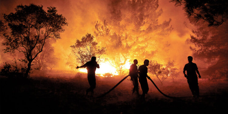 Orman yangınları, ülke yıkımını imliyor…