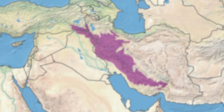 Turani köklerden “Aryan” efsanesine