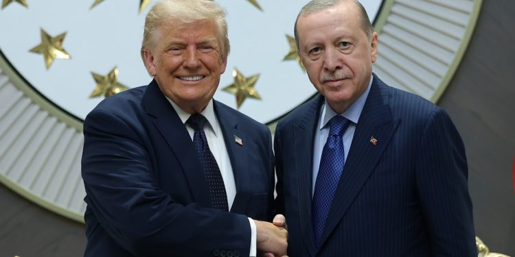 RTE’ye NATO ve Trump hakkında 15 soru