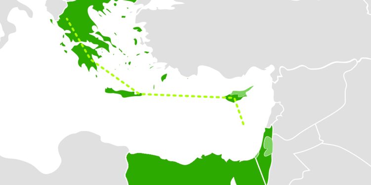 Akdeniz jeopolitiğinde son durum