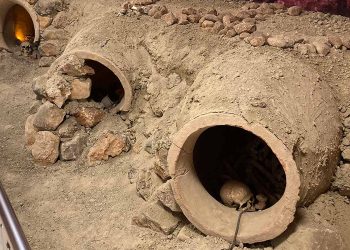 Elmalı’dan Tuva’ya, Harappa’dan İdil’e (1)