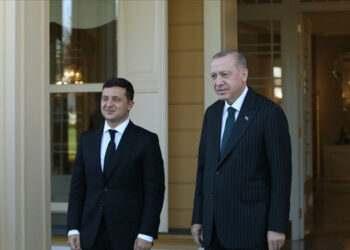 Erdoğan, Ukrayna’da arabuluculuk değil iktidarını sağlamlaştırma peşinde