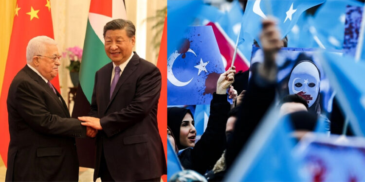 Filistin’e destek çıkanlar, Doğu Türkistan için susuyor!