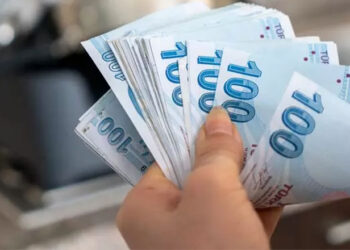 AKP asgari ücreti değil, yılsonu dolar hedefini açıkladı: 32 TL