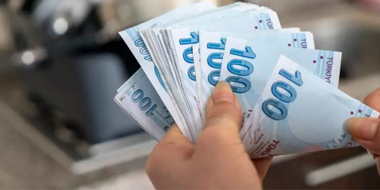 AKP asgari ücreti değil, yılsonu dolar hedefini açıkladı: 32 TL