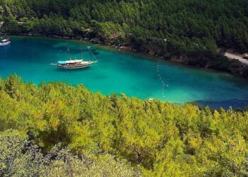 Bir dahaki orman yangını Cennet Koyu’nda mı çıkacak?