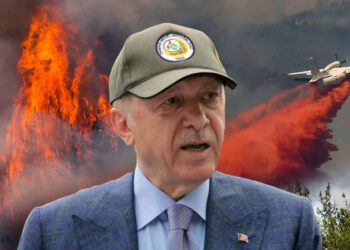 Erdoğan, sonunda ormanları da böldü: CHP’nin ormanları, AKP’nin ormanları!