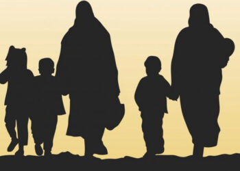 Türk düşmanlığında son nokta: Göçmen kadının evde yediği dayağın bile sorumlusu Türkler!