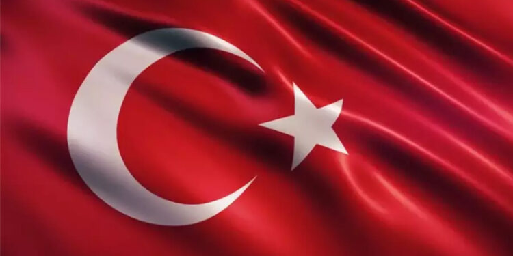 Yüzüncü yılında Hilal ve Yıldız