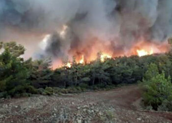 Ormanlar yanıyor, AKP seyrediyor!