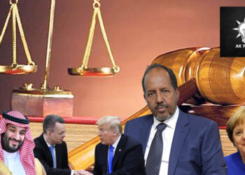 Somali Cumhurbaşkanı, AKP adaletine güveniyor