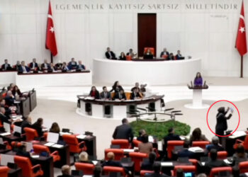 Özlem Zengin, Meclis’te AKP’li vekilleri koyun sürüsü gibi güttü!