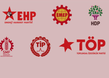 Bir “Sosyalist” cücük masalı