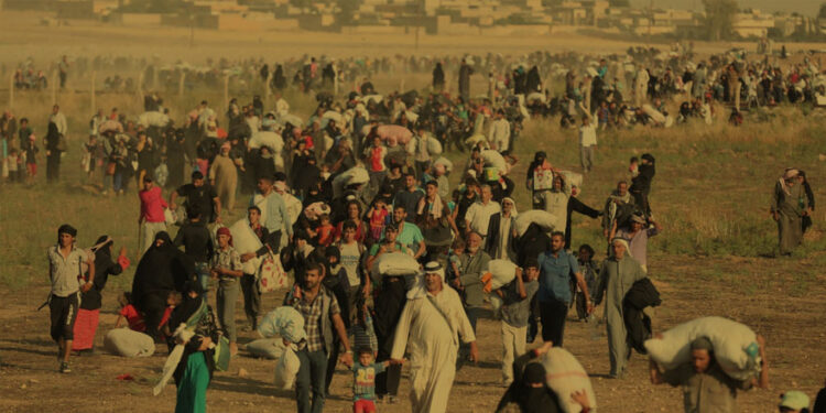 Davutoğlucuların Suriyeli aşkı