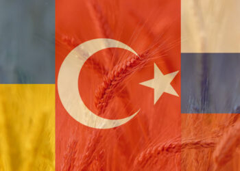 Erdoğan’ın tahıl krizi çözümü: Dünyada ucuzluyor, Türkiye’de pahalanıyor